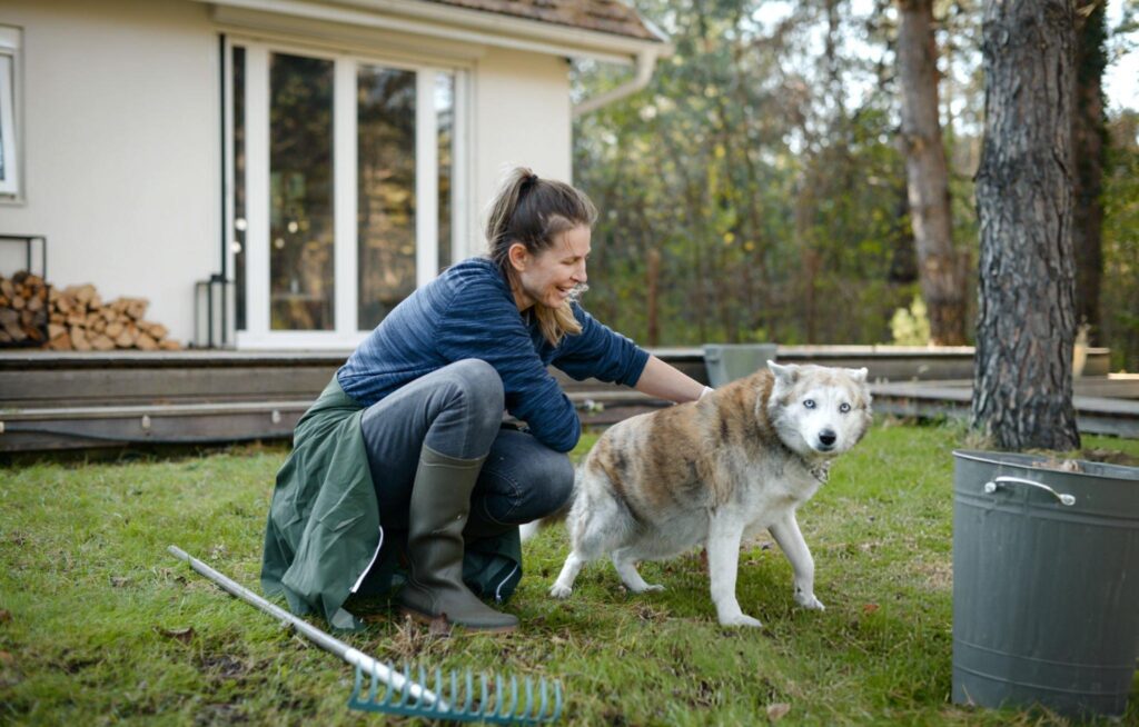 dog waste cleaning