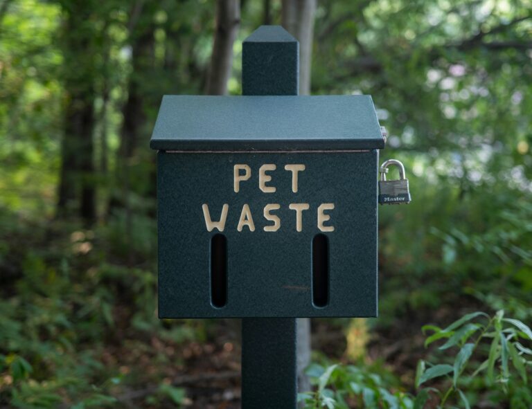 pet waste